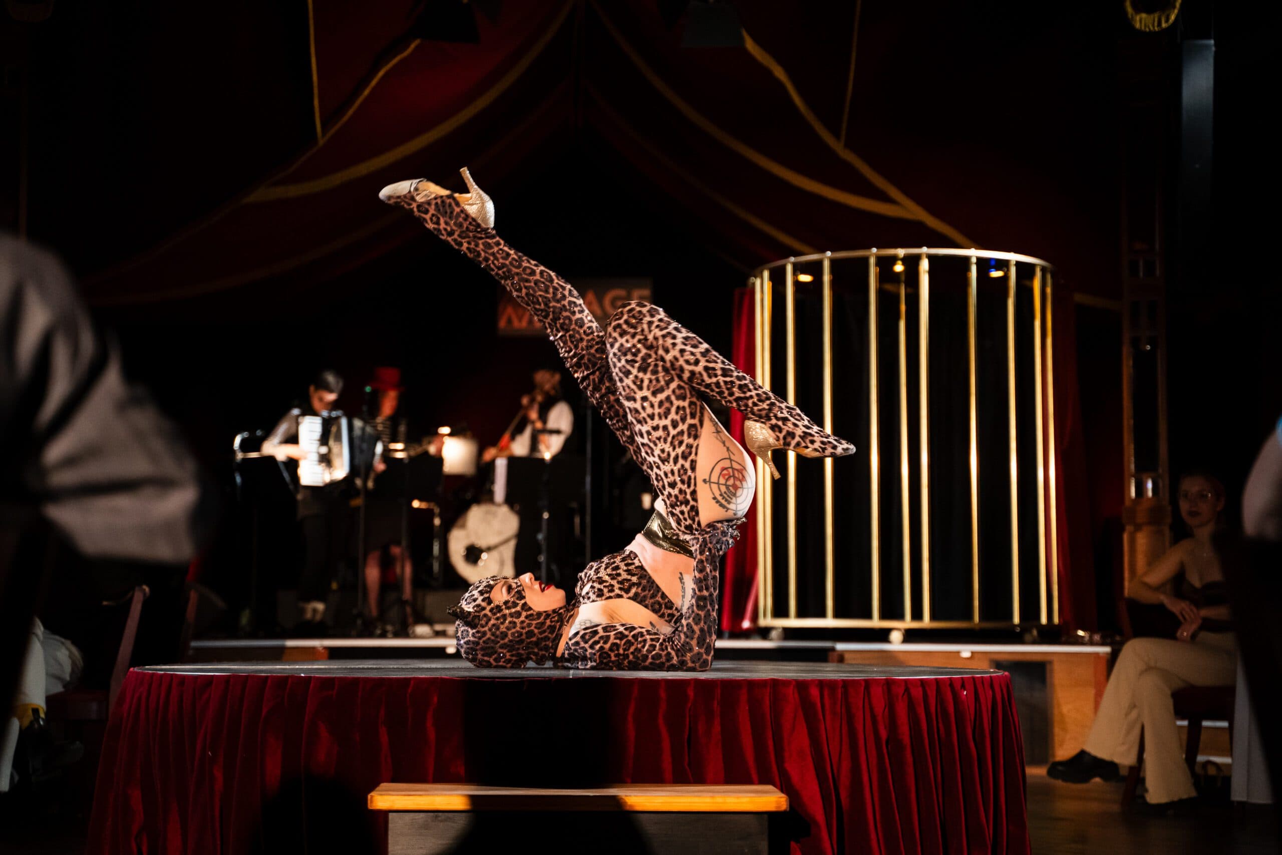 Burlesque Dancers